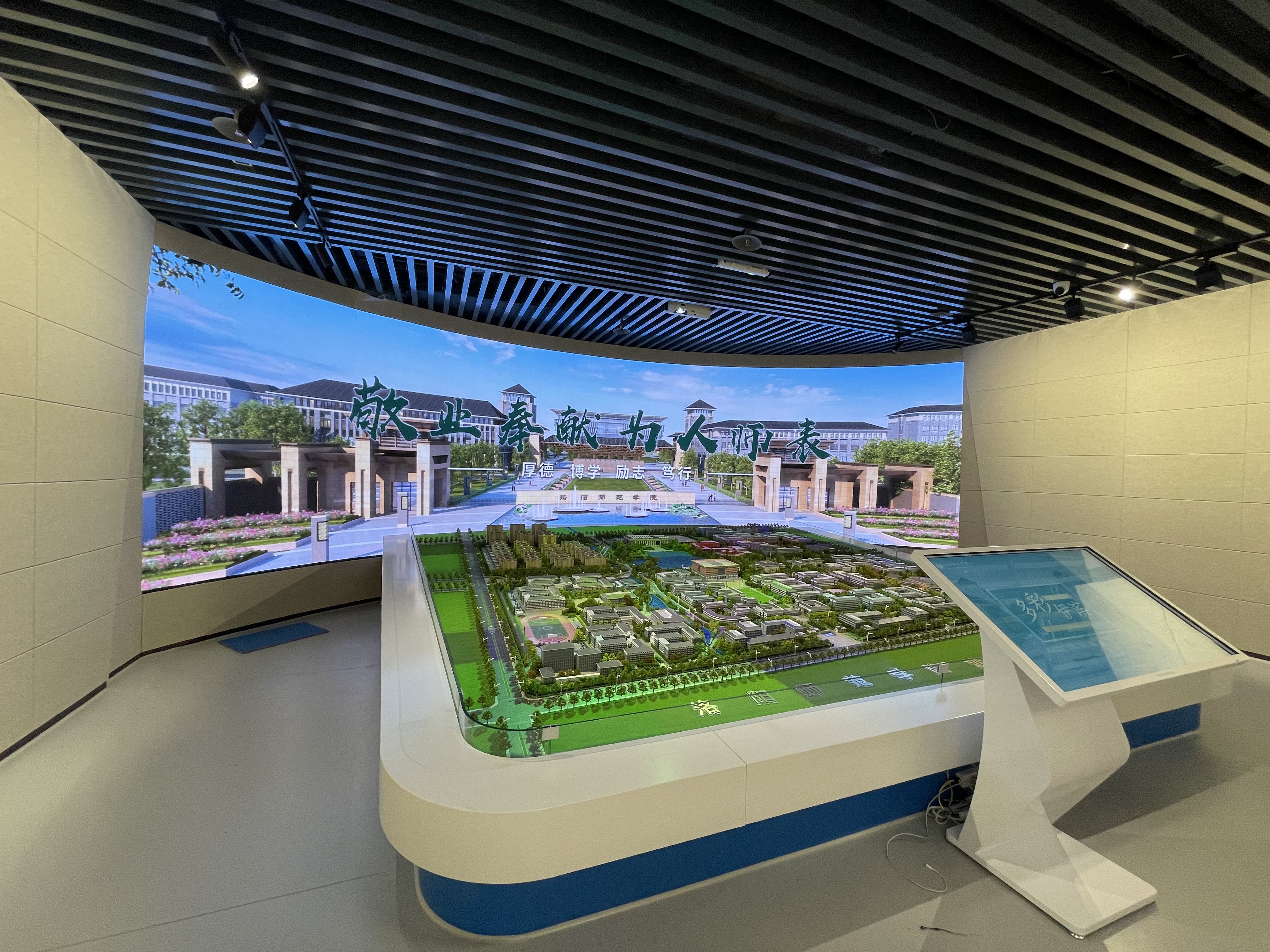 IMG_7799.JPG IMG_7799.JPG